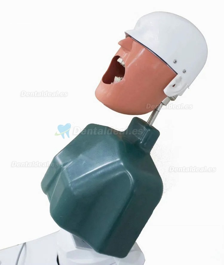 Jingle JG-A1 Phantom Head For Dental Students Dental Simulation Unit